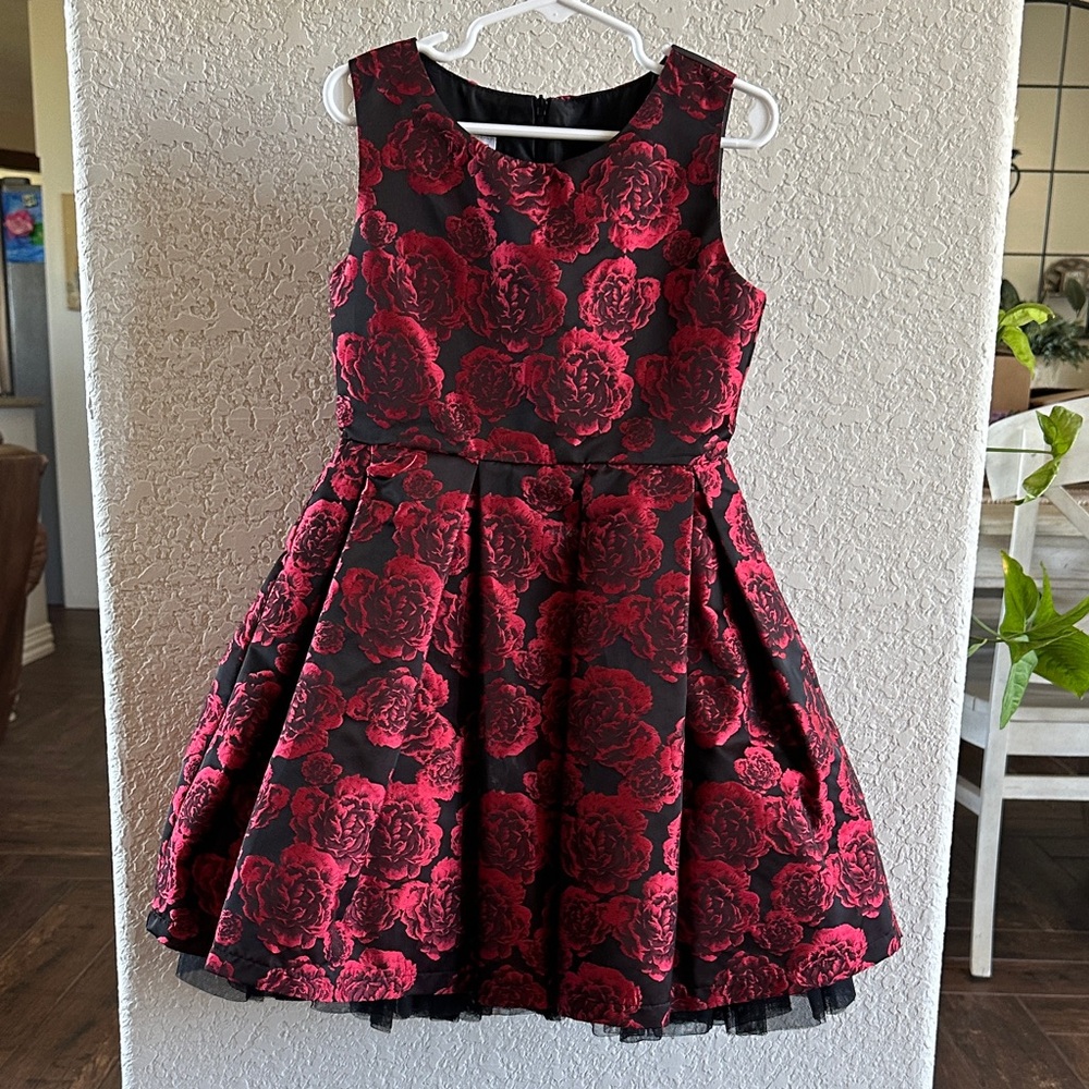 Chasing Fireflies Black and Red Floral Dress